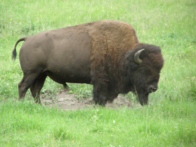 First Superintendent named.