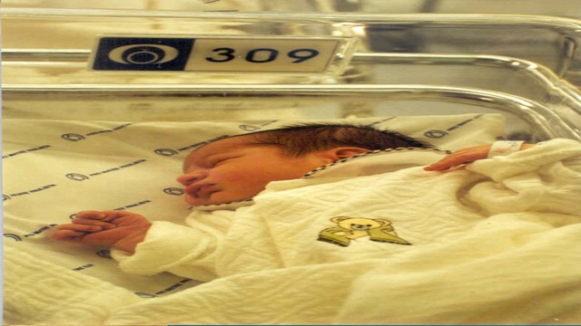 Pedro O.- nascimento