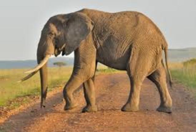 ירח דבש של ההורים