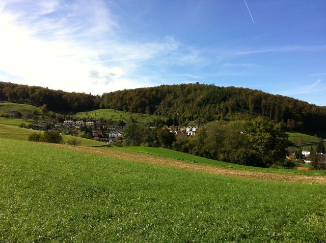Dorfentwicklung Furlen