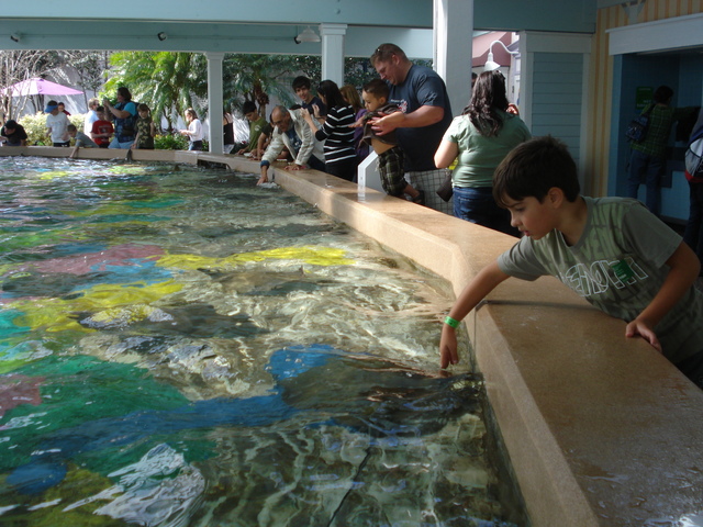 Fatos Pessoais Murilo - Viagem ao Estados Unidos