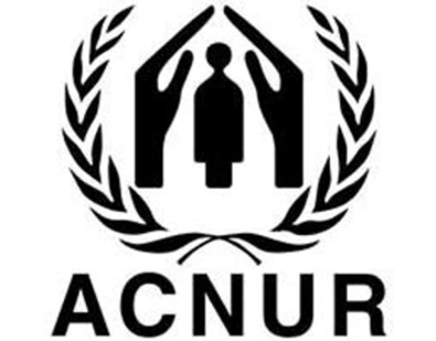 refugiados (ação concreta)