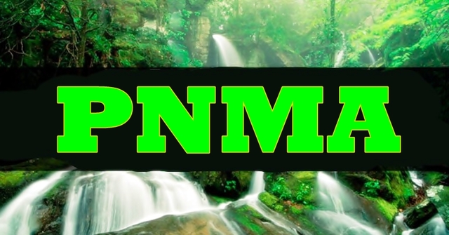 Política Nacional do Meio Ambiente (PNMA)
