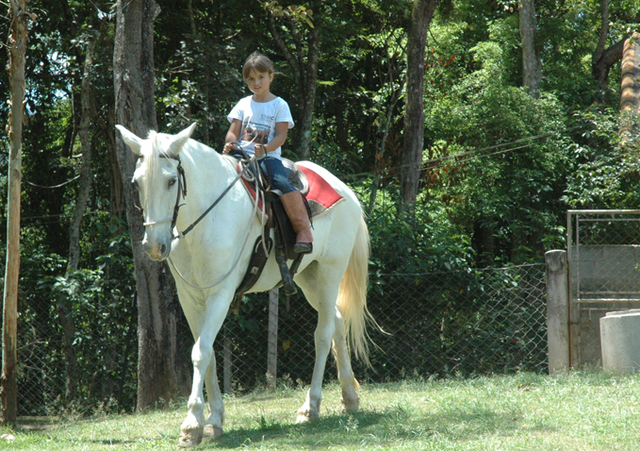 Mayra - Primeiro contato com um animal