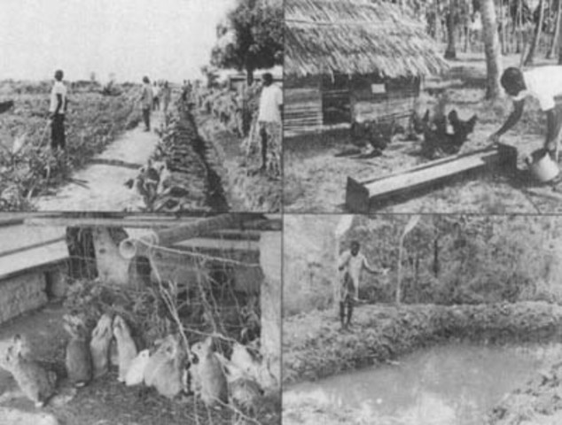 ¿En 1 año cuanto a aunmentado la poblacion mundial?