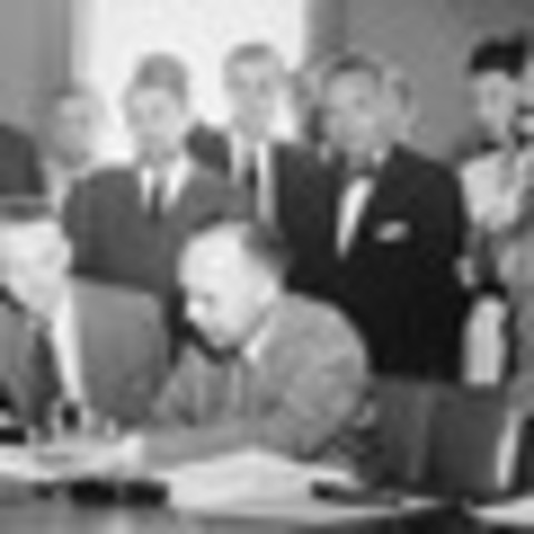 Criação do Comitê Consultivo para Refugiados