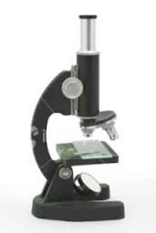 simple microscope