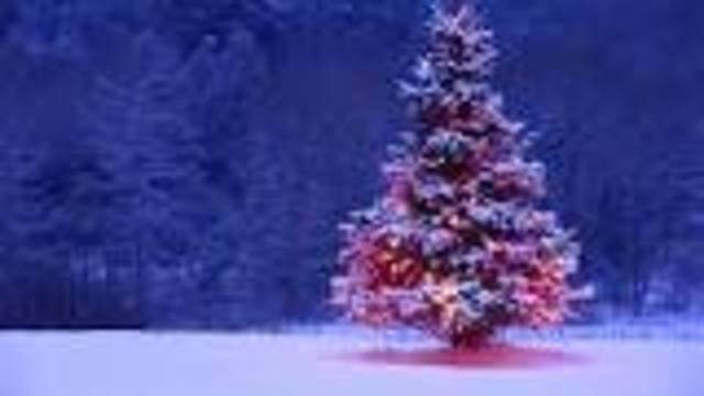 Holidays timeline | Timetoast timelines