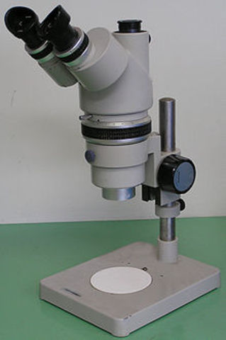Stereo Microscopy