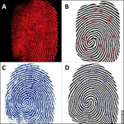 Sistema Dactiloscópico para la identificación de las personas.