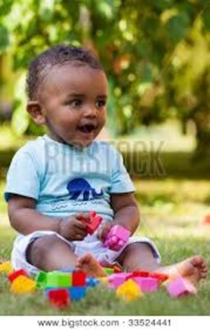 One Year Experiments