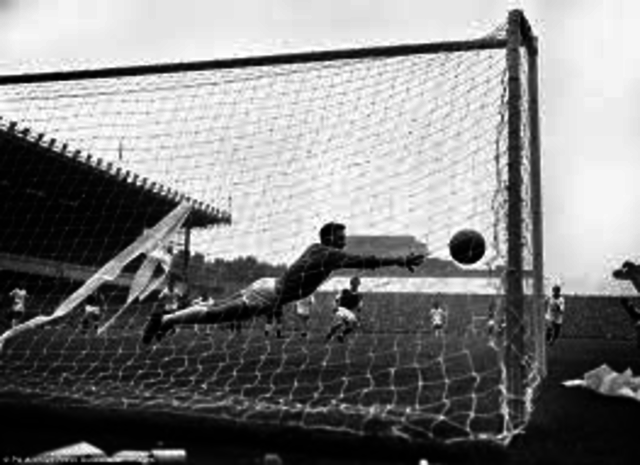 Goal nets and Penalites