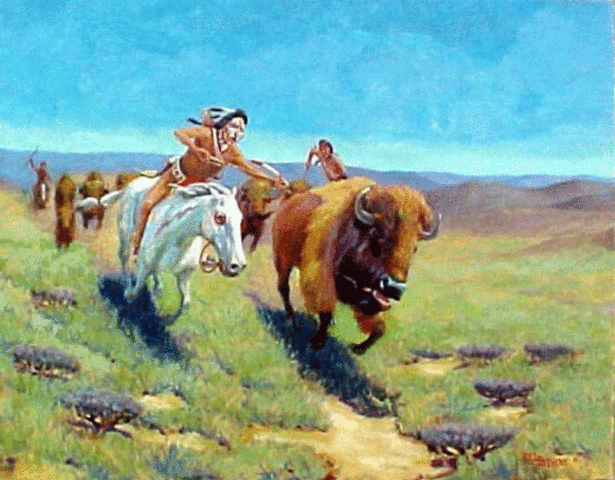 KIlling of  Buffalo