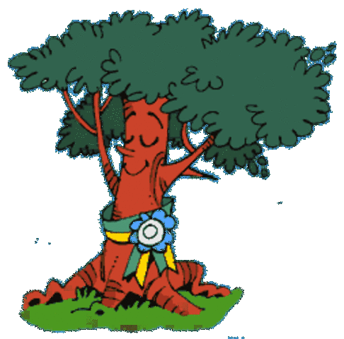 Pau Brasil declarada árvore nacional