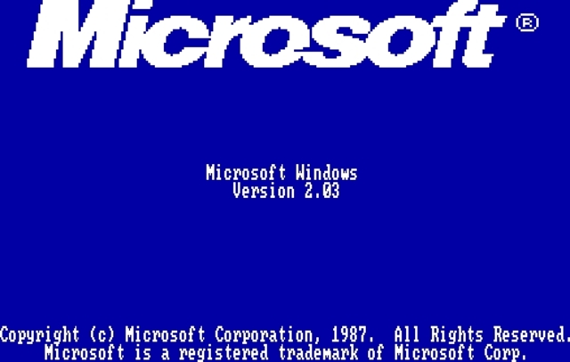 MICROSFT WINDOWS