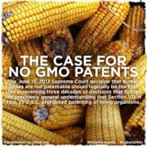 The first GMO patent is issued.