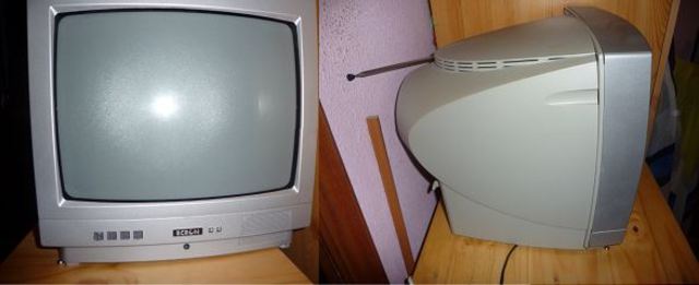 Etxeko lehen telebista