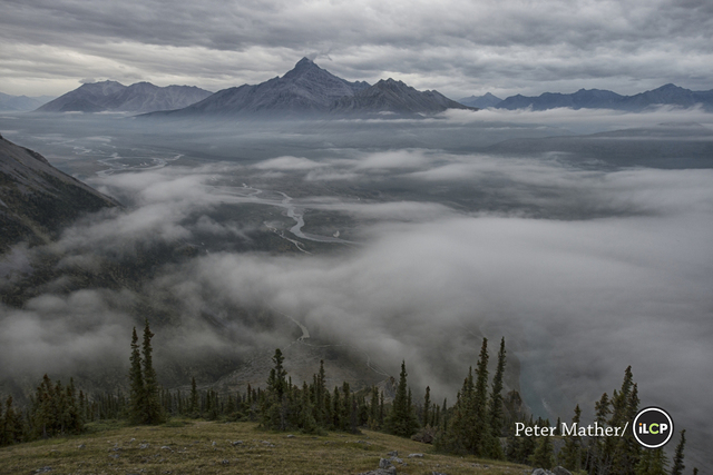 International League of Conservation Photographers