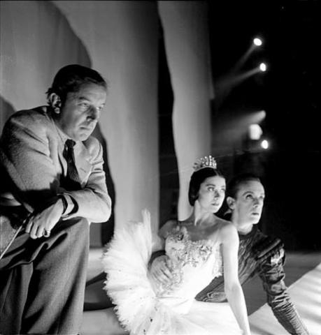 Major Role and Other Accomplishments