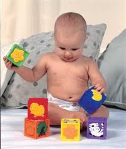 1 year (12 Months) - Cognitive