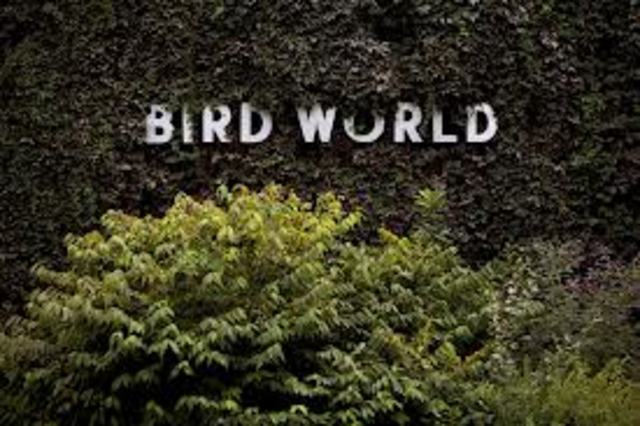 Bird World Opens