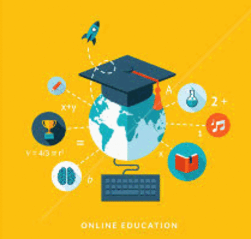 First Education Terminal Degree