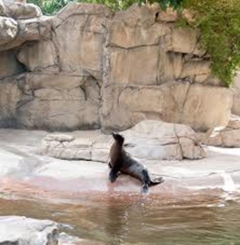 Northern Shores Opens Up