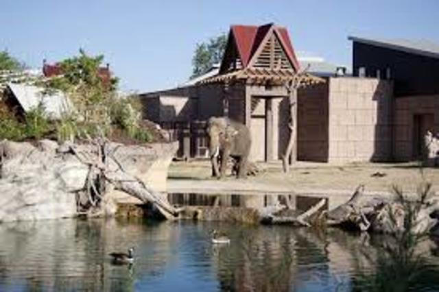 Zoo Opens Elephant Passage