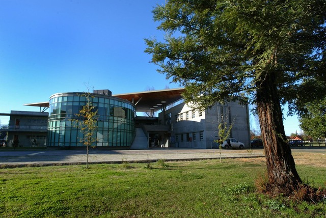 primera acreditacion en la universidad catolica de maule de pregrago