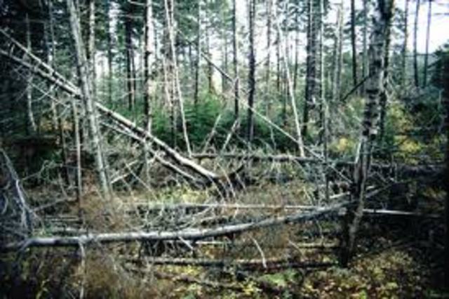 The first German air acid in the london