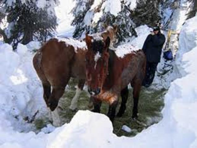 Town decided to help