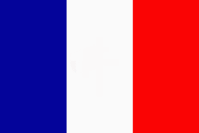 The Germans Invade France