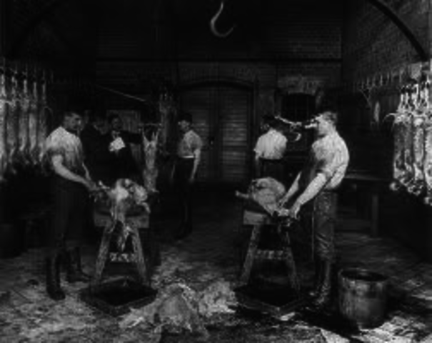 Slaughter House Case