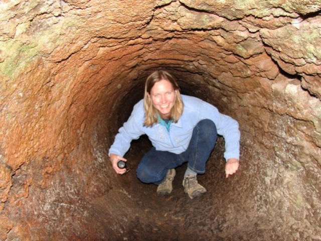 Mentor: Elizabeth Yeagley