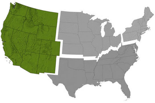 Holten gets an idea to leave New York