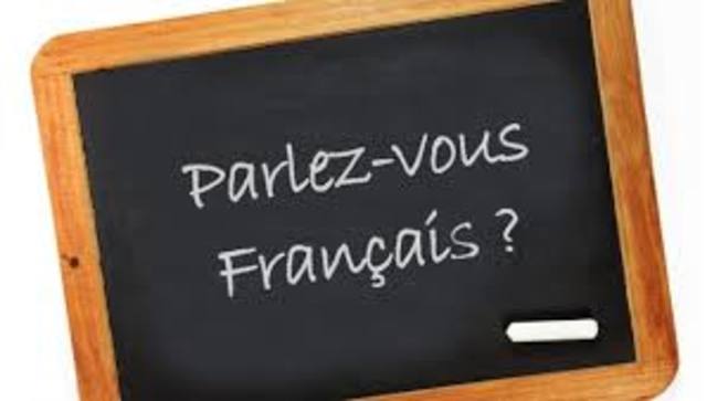 Idiomas y adentar materias