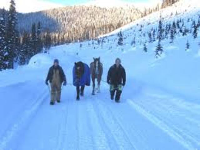 11 December.Free at last