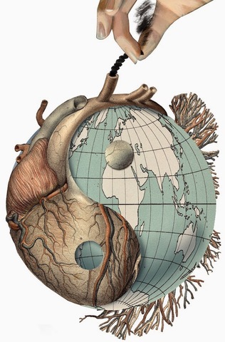 "Elogio del qi gong"