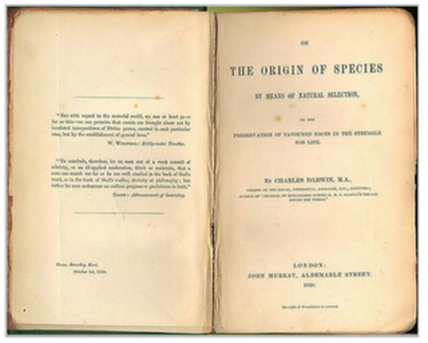 L'origen de les especies.