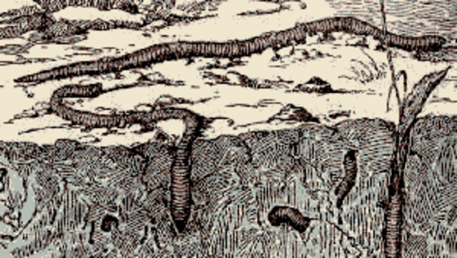 Influéncia llombrius.