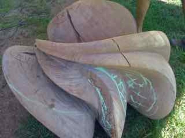 Leadership Opportunity: Apprenticeship at Beechhollow Studios