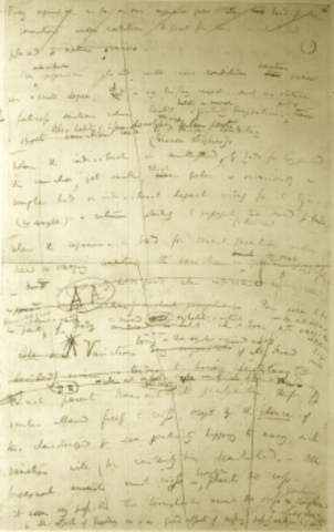 Primer esboç de la teoria de l'evolució