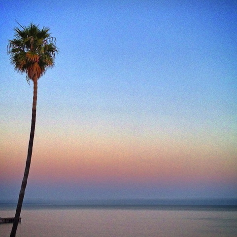 Learning Module 1 Due