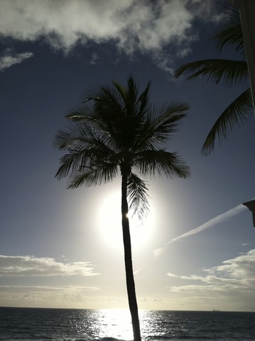 Learning Module 3 Due