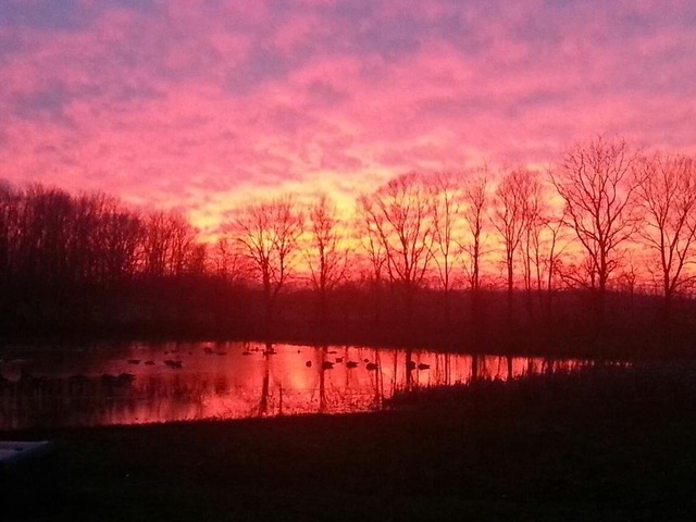 Learning Module 4 Due