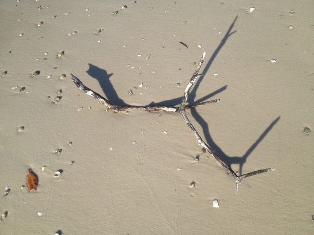 Learning Module 5 Due