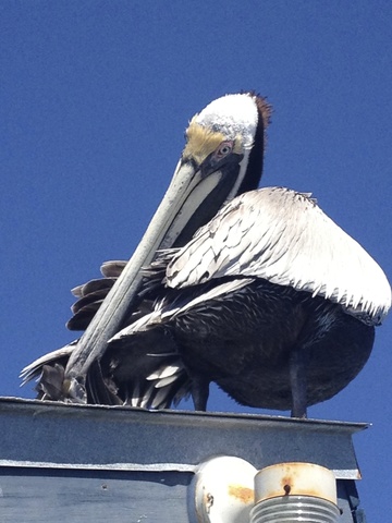 Learning Module 7 Due