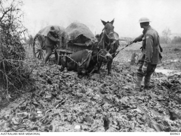 The Battle Passchendaele Cont.