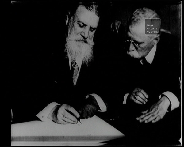 Austria-Hungary Makes Peace