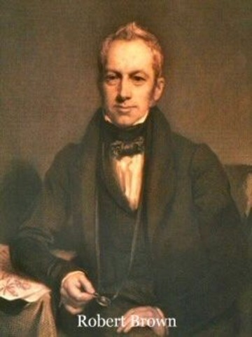 Robert Brown discovered nucleus